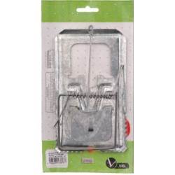 RATOEIRA N.02 ENCART