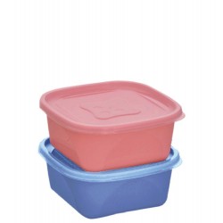 KIT 2 PCS ORGANIZA 1,2L QUAD NUDE