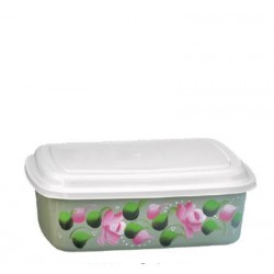 CAIXA ORG. 4L RET COLOR DEC