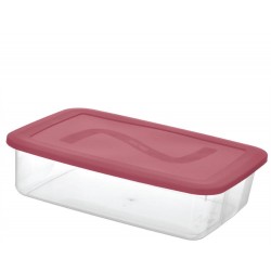 CAIXA ORG 14L TRANSP. - 45,5 X 30,5 X 14,5 CM